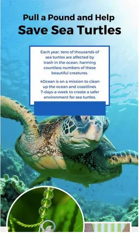 4Ocean bracelets