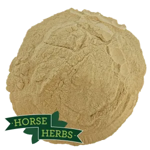 Brewers Yeast