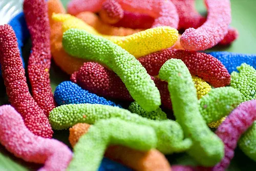 Crunchy Worms Assorted 4.5LBS