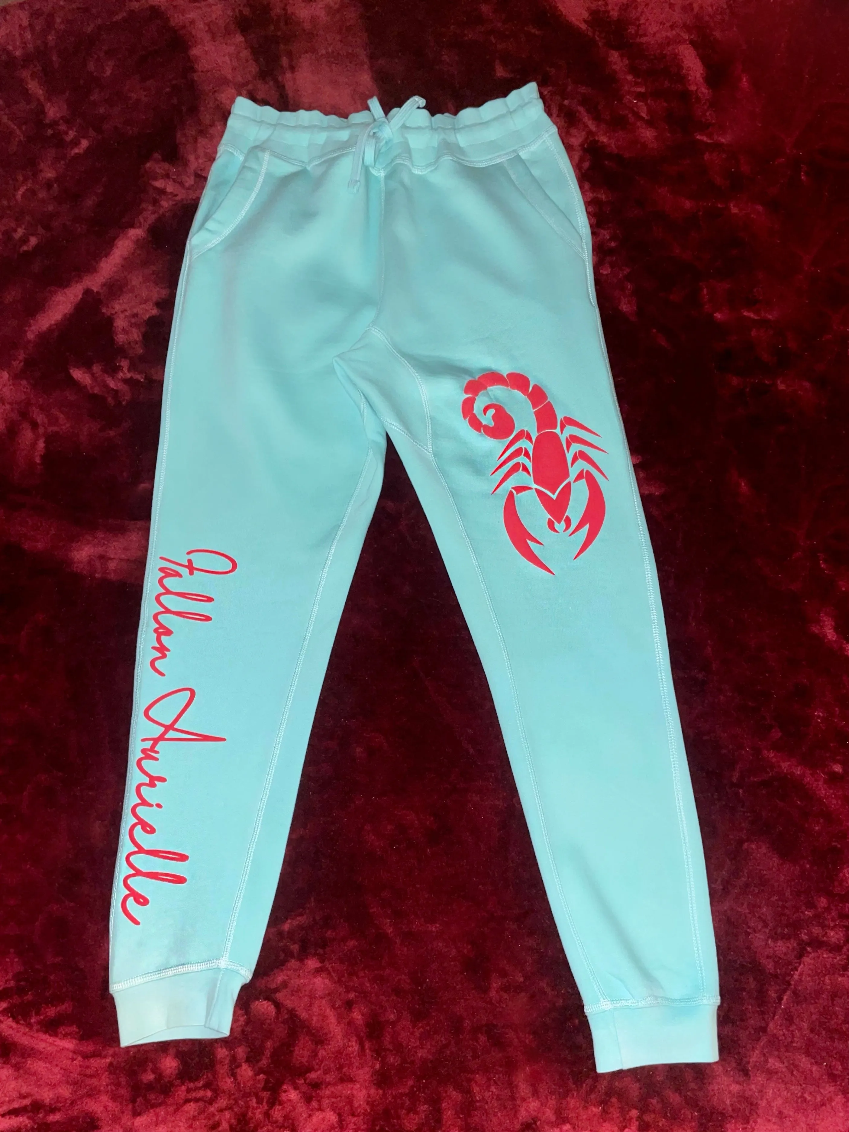 Fallon Aurielle Unisex Signature Scorpio Zodiac Jogging Set (Seafoam Green & Red)