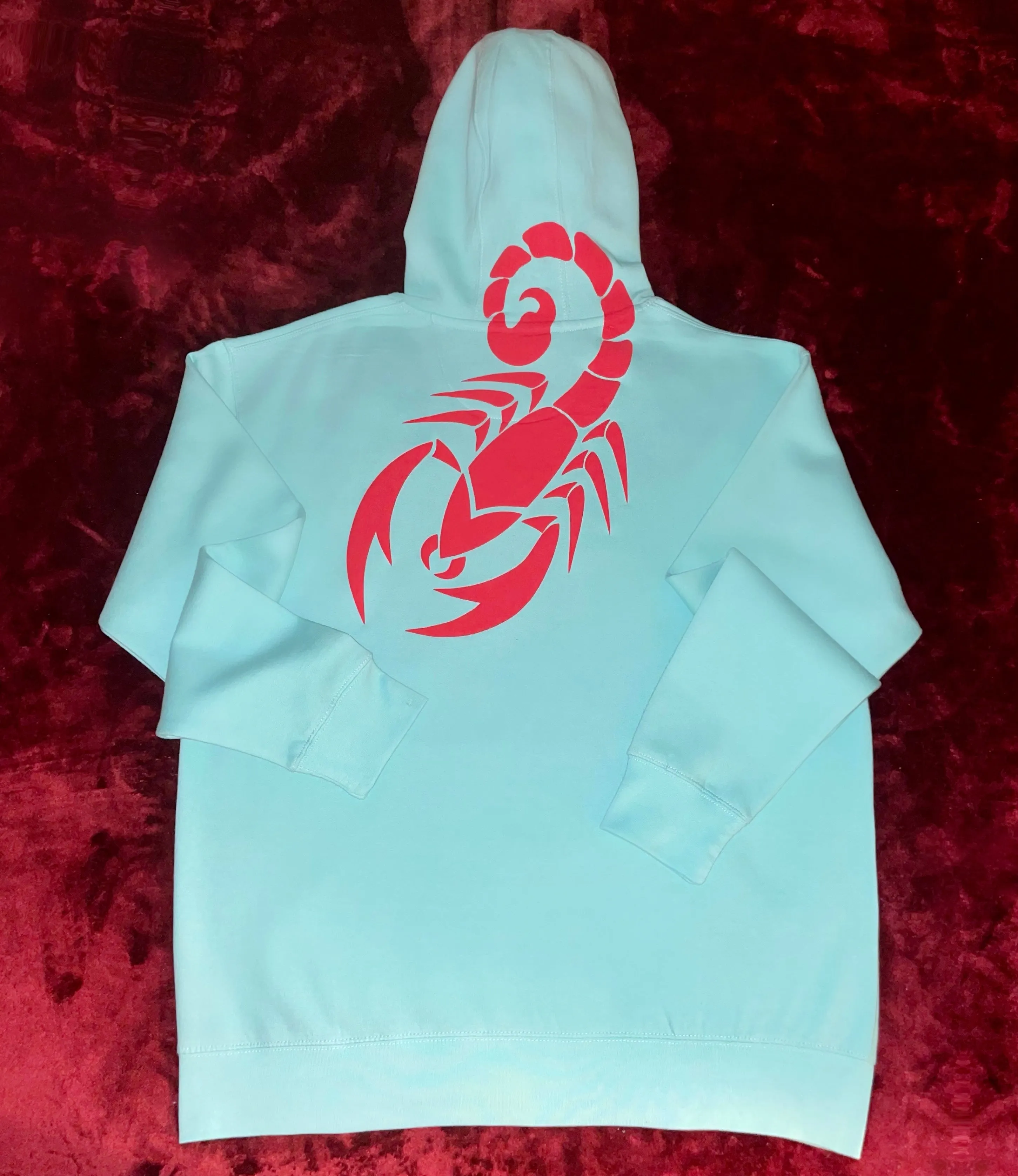 Fallon Aurielle Unisex Signature Scorpio Zodiac Jogging Set (Seafoam Green & Red)