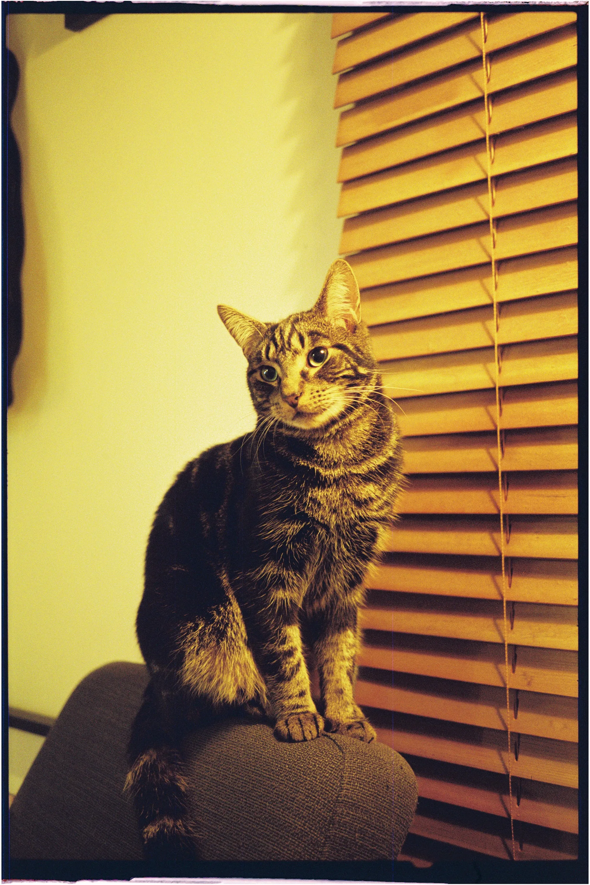 Flic Film Aurora 800 Colour — 35mm