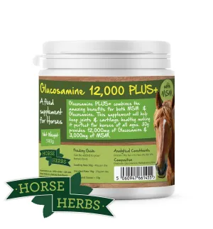 Glucosamine 12,000 PLUS 
