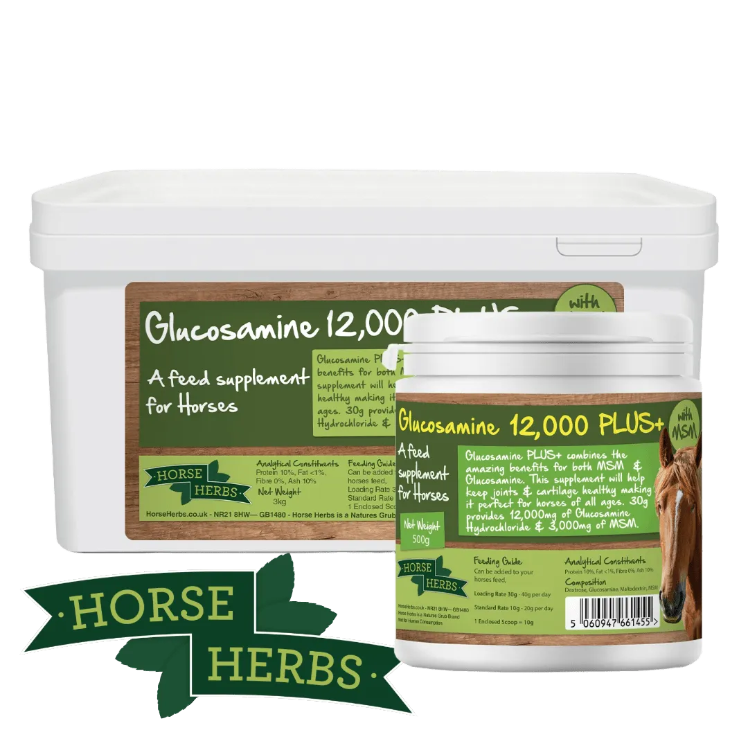 Glucosamine 12,000 PLUS 