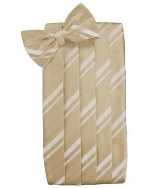 Golden Kids Striped Satin Cummerbund
