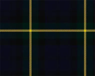 Gordon Modern Tartan Cummerbund & Bow Tie Set