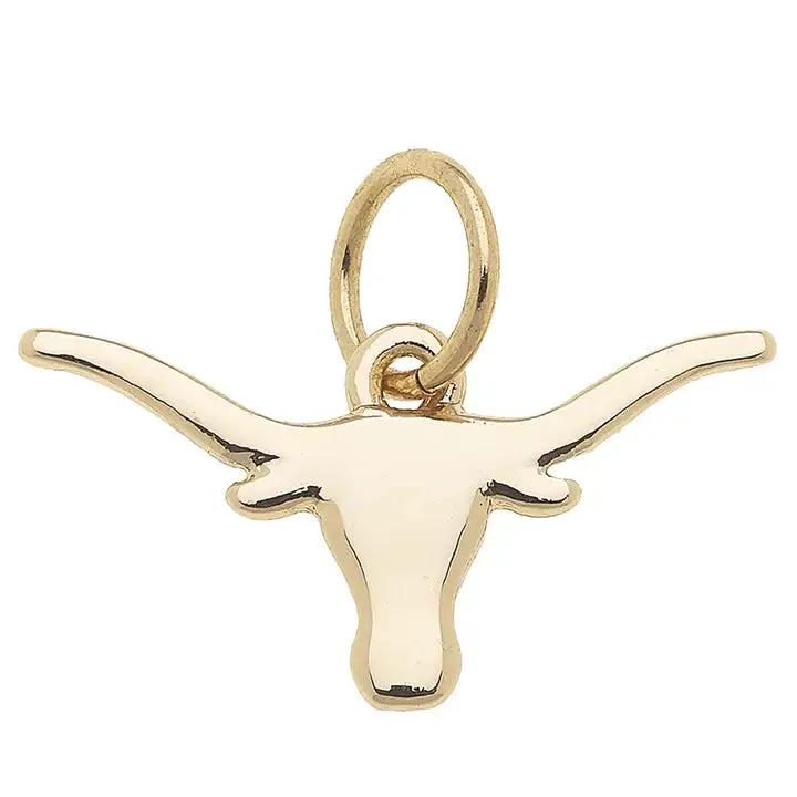 Longhorn Shiny Charm