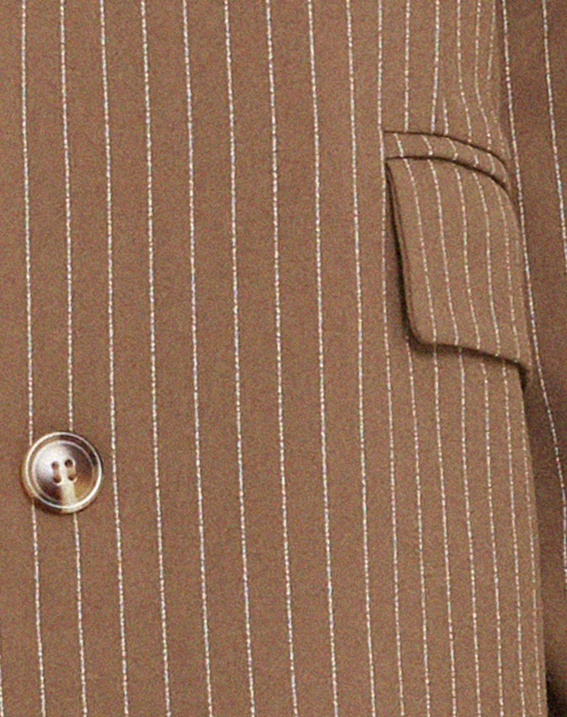Maiwa Blazer in Pinstripe Brown