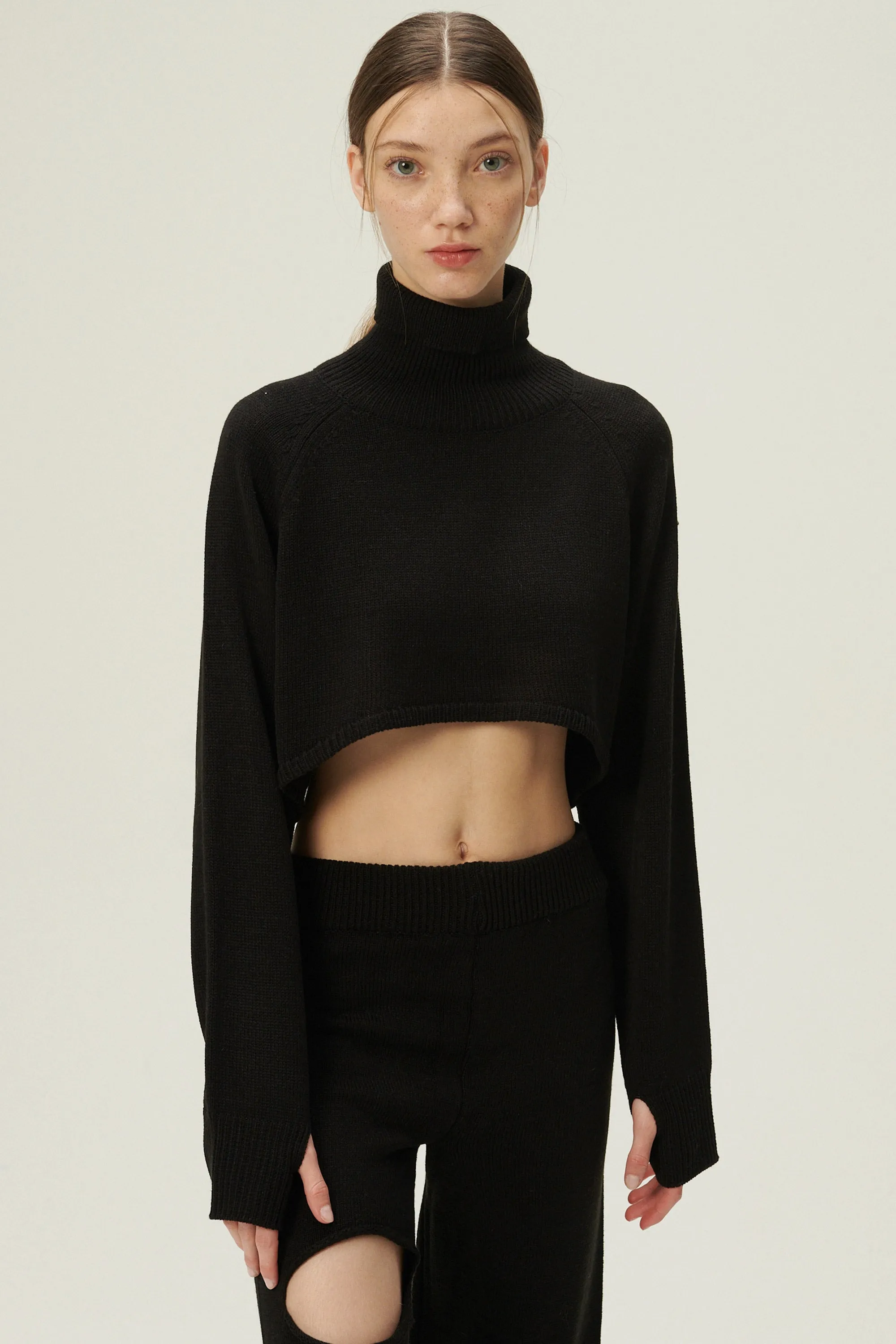 Mia Cropped Turtleneck Sweater