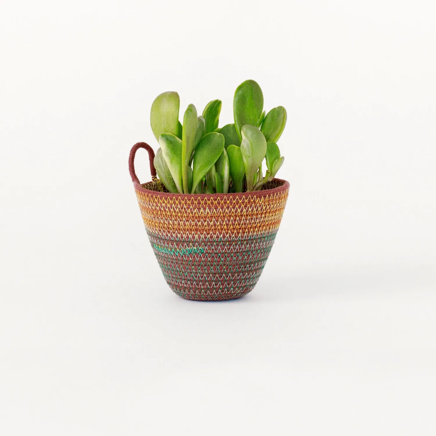 Moriah Okun: Wonky Bucket