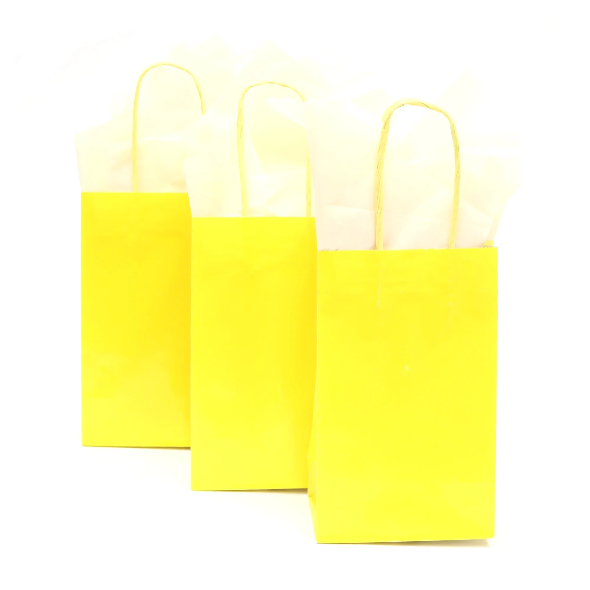 Narrow Medium Yellow Gift Bag (Color Savvy)