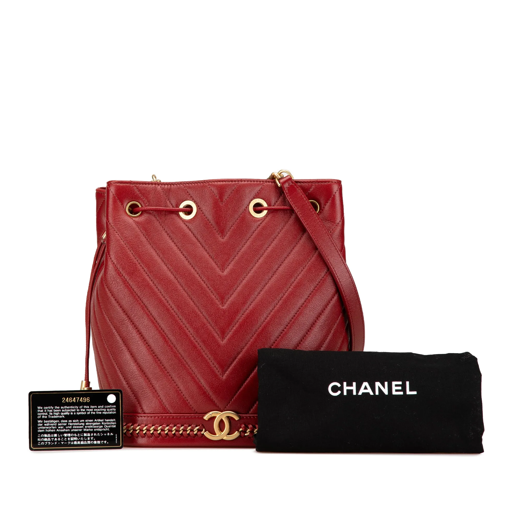 Paris Cosmopolite Medium Chevron Lambskin Bucket Bag