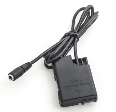 Pegasus Astro DSLR Buddy V2