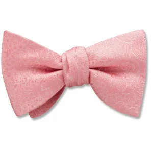 Pembroke Pink - Dog Bow Ties