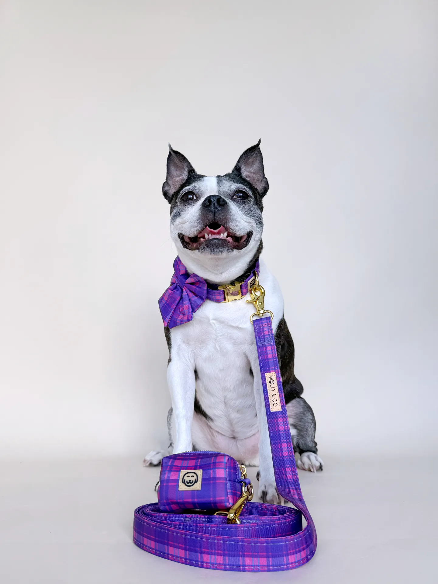 Pinkberry Plaid - Dog Poop Bag Holder