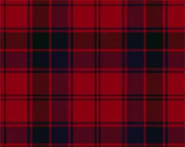 Robertson Modern Tartan Cummerbund & Bow Tie Set