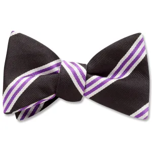Rothesay - Dog Bow Ties
