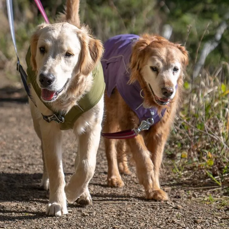 Ruffwear Overcoat Fuse Jacket