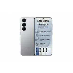Samsung Galaxy S25 256GB Dual Sim - Silver Shadow