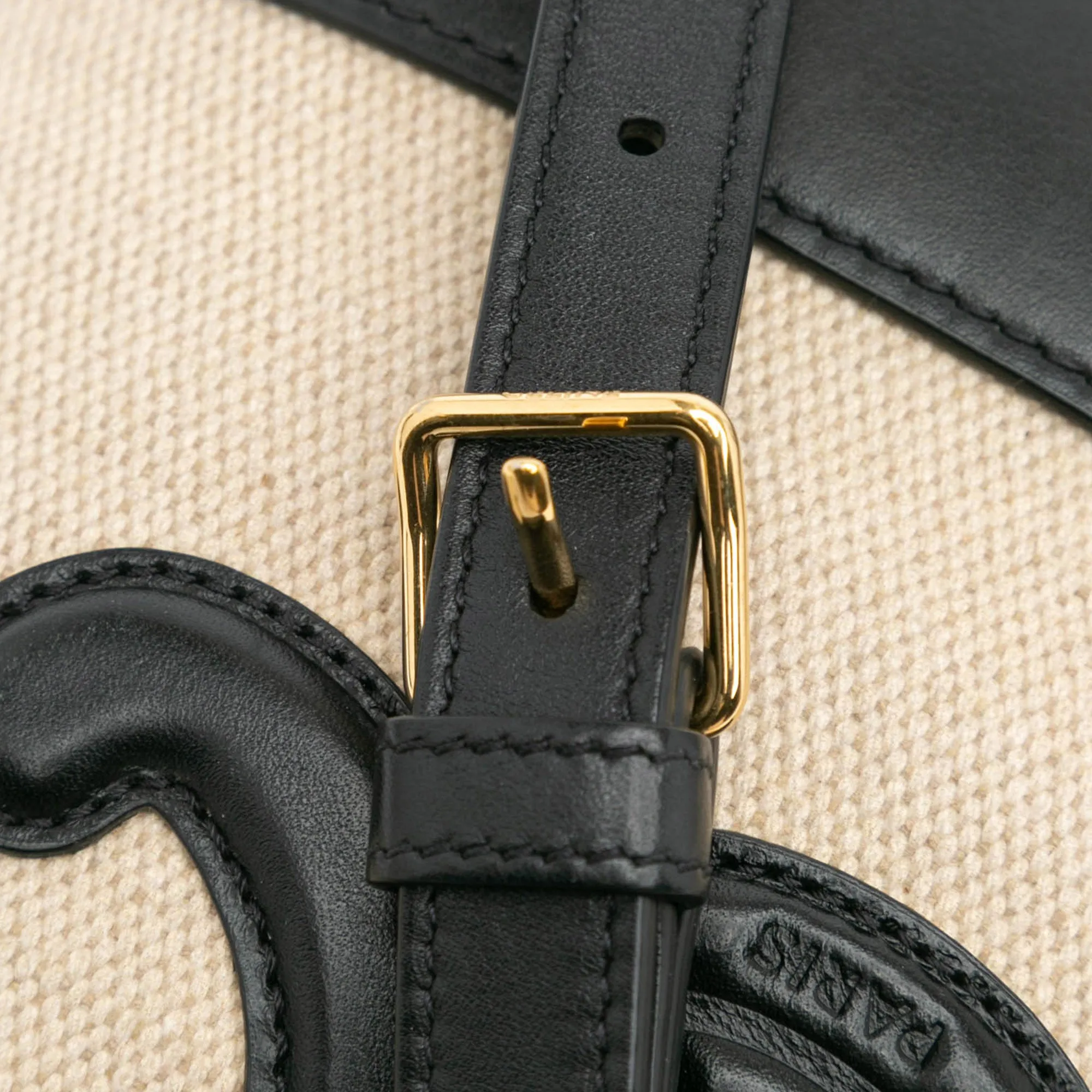Small Canvas Triomphe Bucket Bag