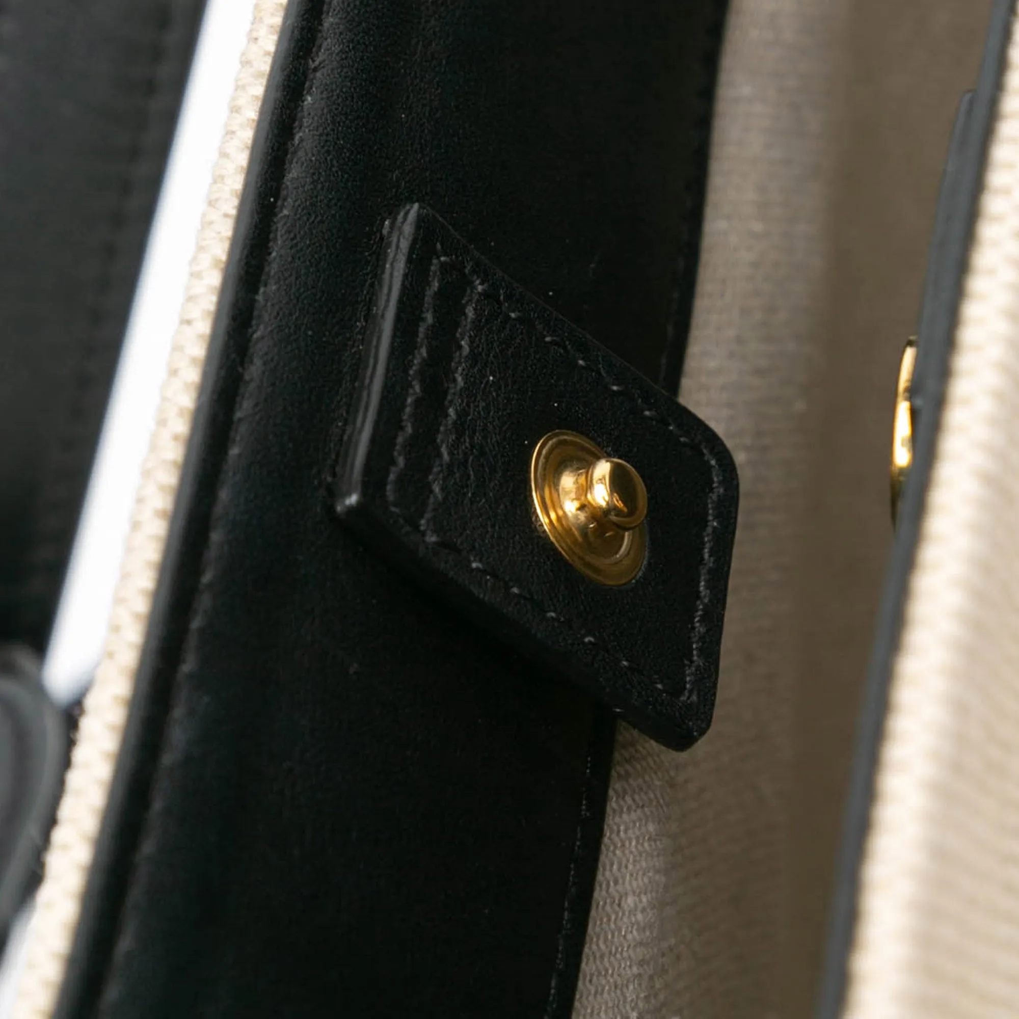 Small Canvas Triomphe Bucket Bag