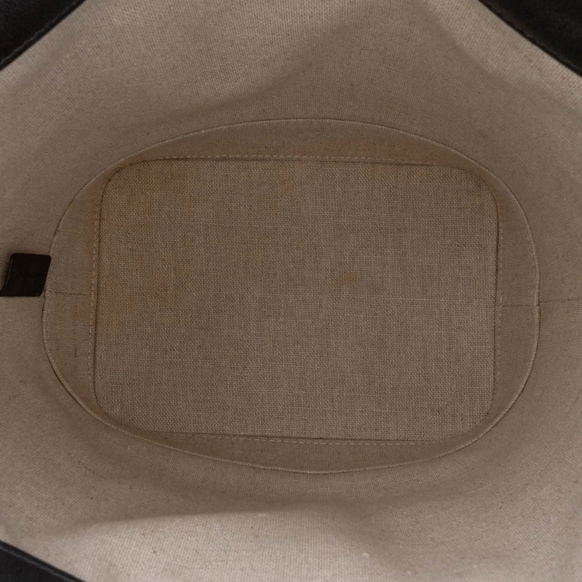 Small Canvas Triomphe Bucket Bag