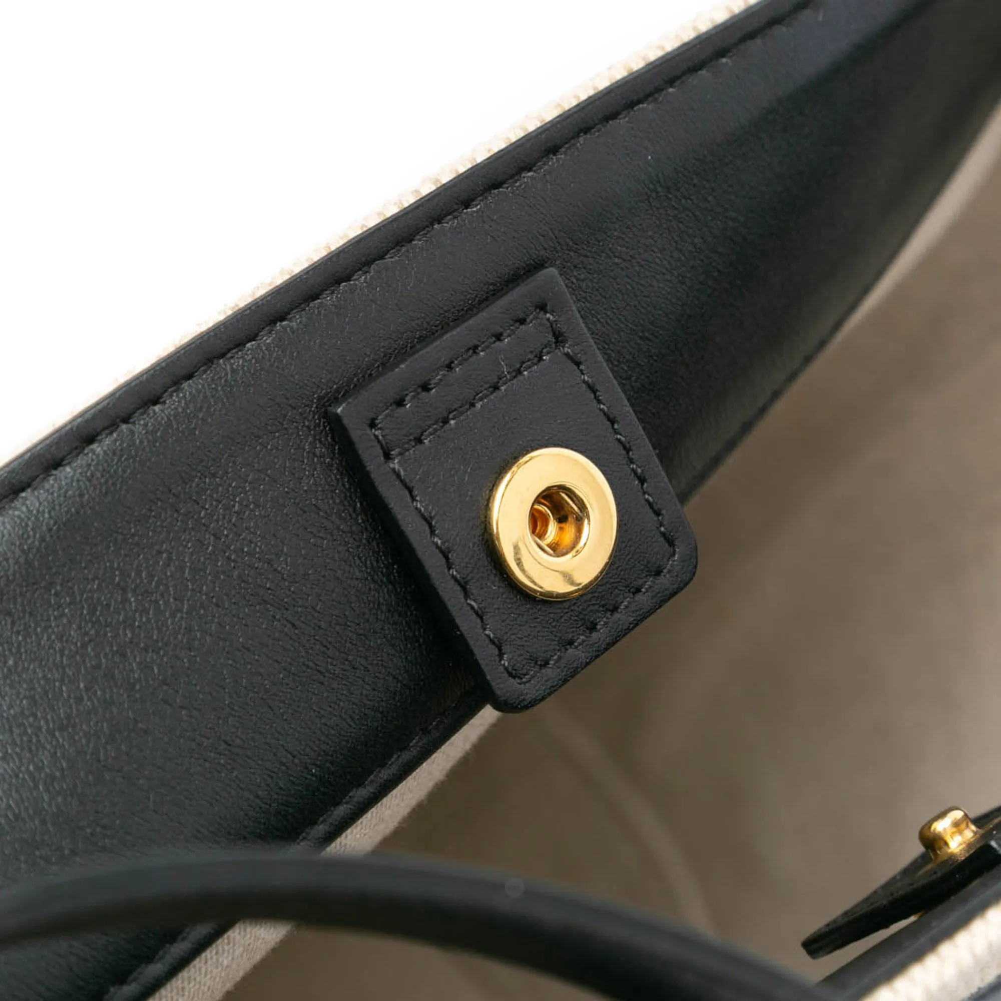 Small Canvas Triomphe Bucket Bag