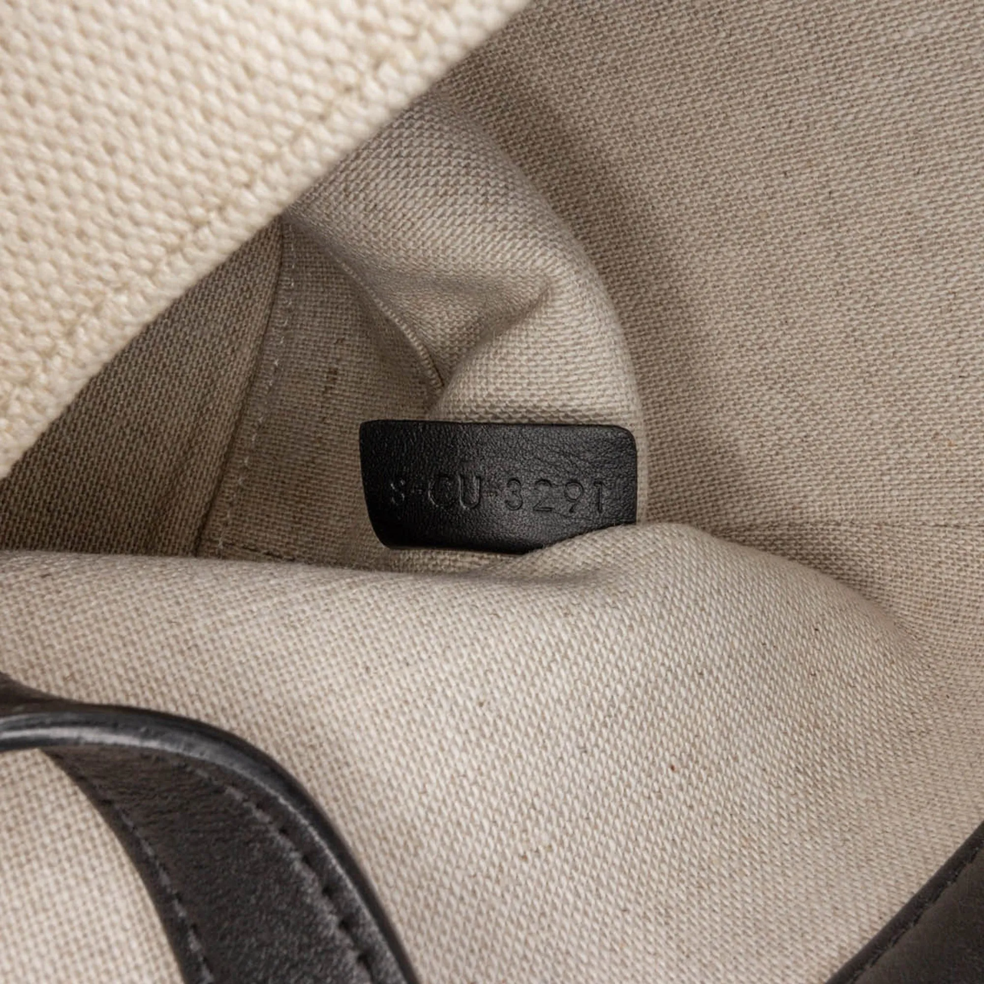 Small Canvas Triomphe Bucket Bag