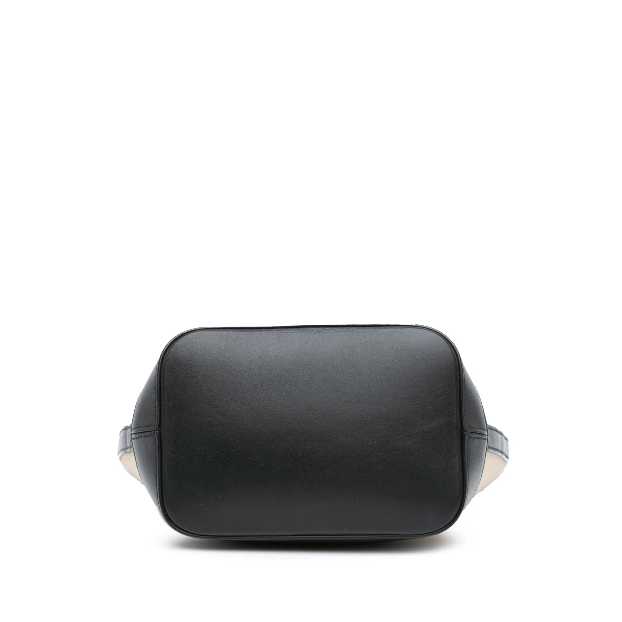 Small Canvas Triomphe Bucket Bag