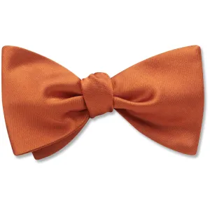 Somerville Sienna - Dog Bow Ties