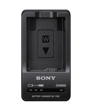 Sony BC-TRW Charger