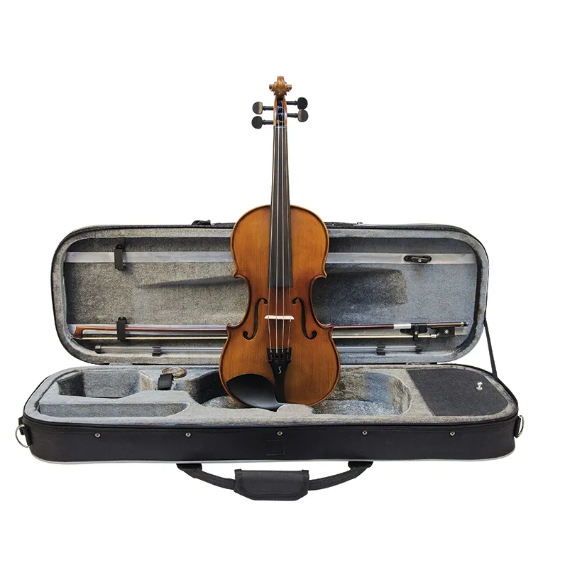 Stentor Graduate 1/2 Violin Outfit