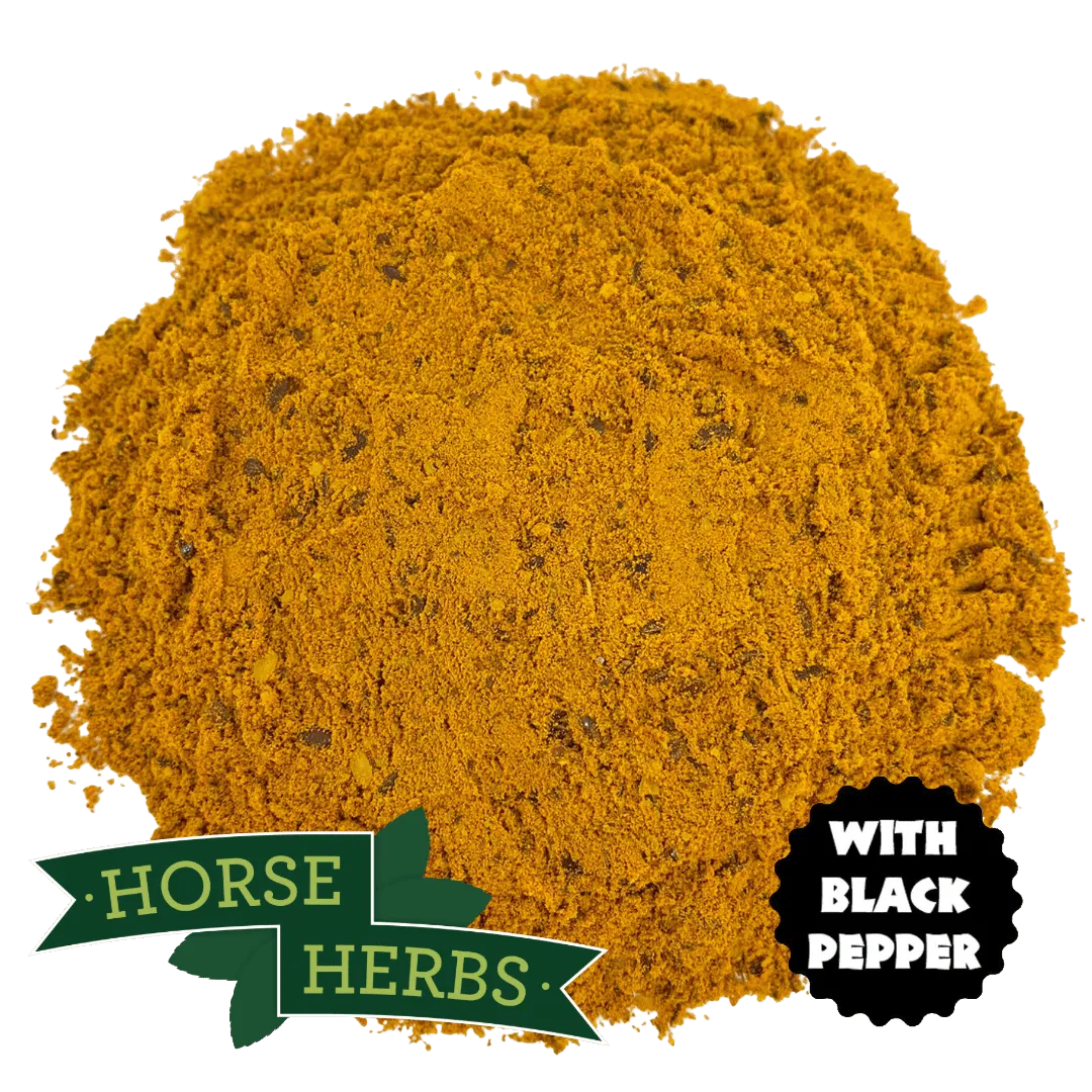 Turmeric PLUS