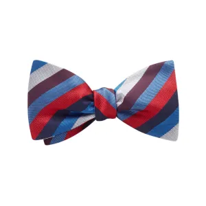 Windermere - Kids' Bow Ties