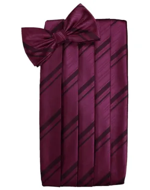 Wine Kids Striped Satin Cummerbund