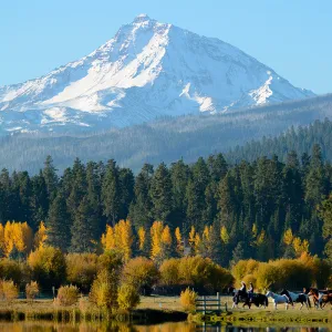 Workshop: Fall Photography in the Aspens, October 2024