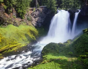 Workshop: Spring Photography in the Aspens, June 2023