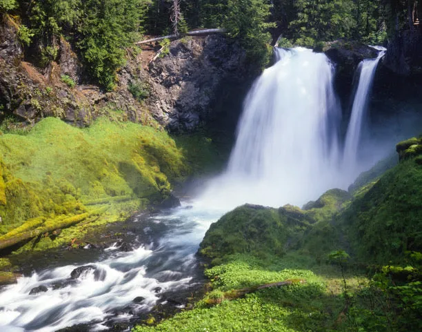 Workshop: Spring Photography in the Aspens, June 2023